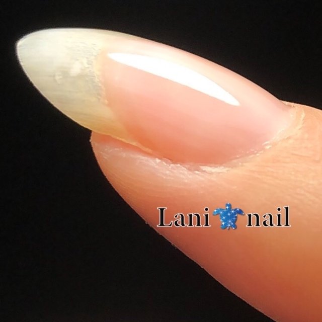 Lani Nail 京成立石のネイルサロン ネイルブック