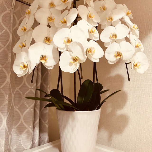 Nail Salon ワンダフル 大塚のネイルサロン ネイルブック