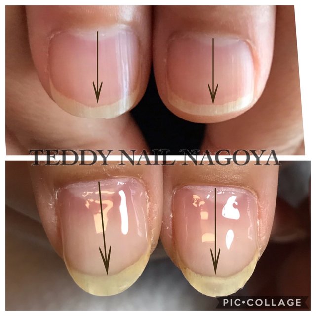 覚王山ネイルサロン テディネイル名古屋 Teddy Nail Nagoya 覚王山のネイルサロン ネイルブック