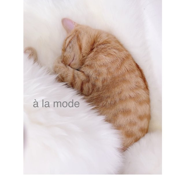 à la mode【アラモード】｜長町南のネイルサロン｜ネイルブック
