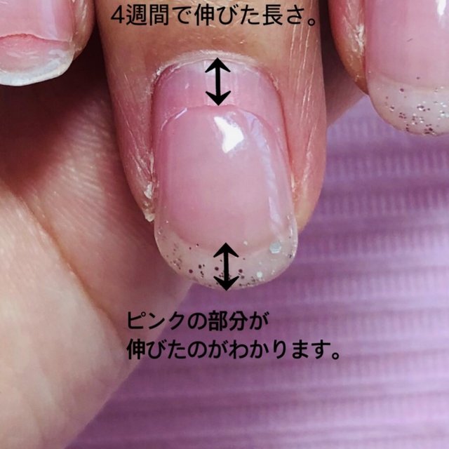 Nailsalon Venus 新潟のネイルサロン ネイルブック