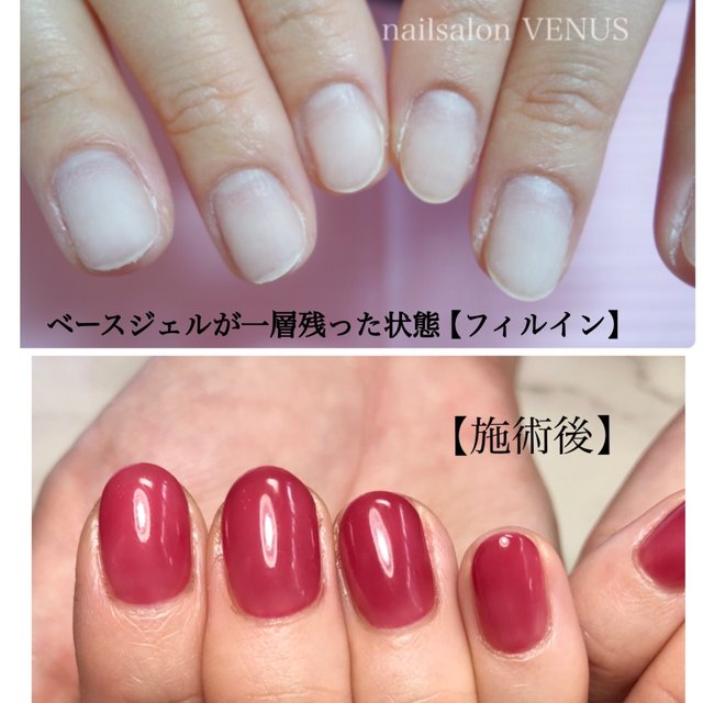 Nailsalon Venus 新潟のネイルサロン ネイルブック