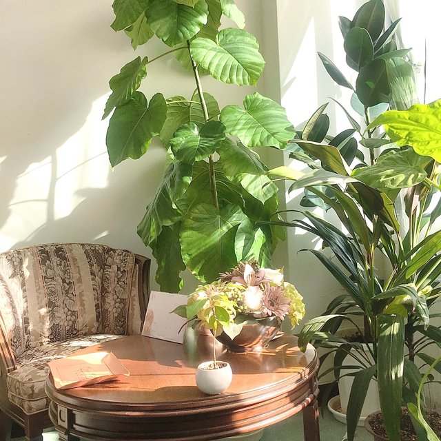 Chouchoutokyo東上野店 上野のネイルサロン ネイルブック