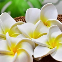 布施駅の安いネイルサロン ネイルブック