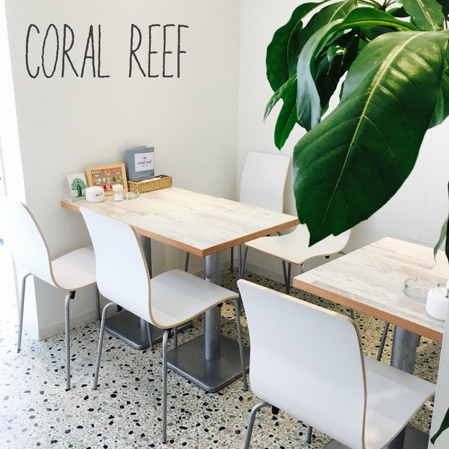 Coral Reef コーラルリーフ 針中野のネイルサロン ネイルブック