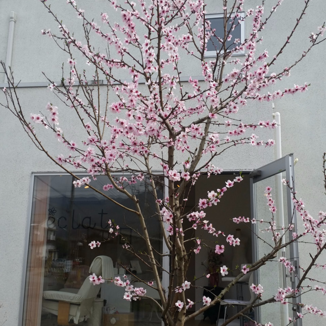 Nailsalon Eclat ネイルサロンエクラ 石和温泉のネイルサロン ネイルブック