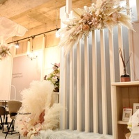 Salon Lumière