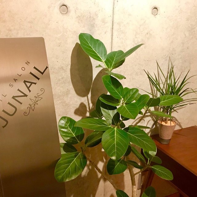 Nailsalon Junail ジュネイル 西小倉のネイルサロン ネイルブック