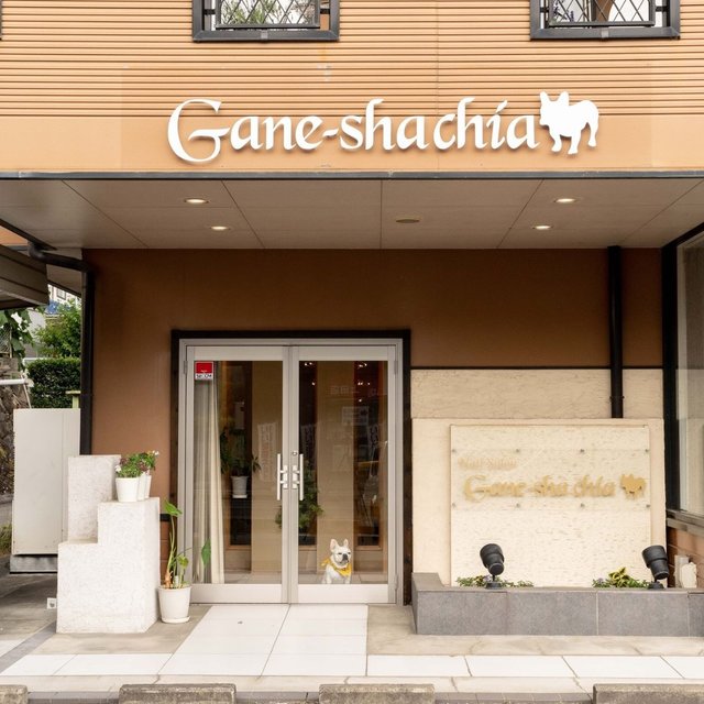 Nailsalon Gane Sha Chia 信濃国分寺のネイルサロン ネイルブック