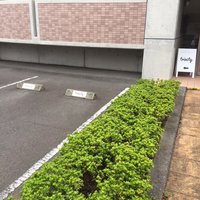 宮崎県のまつエクができる安いネイルサロン ネイルブック